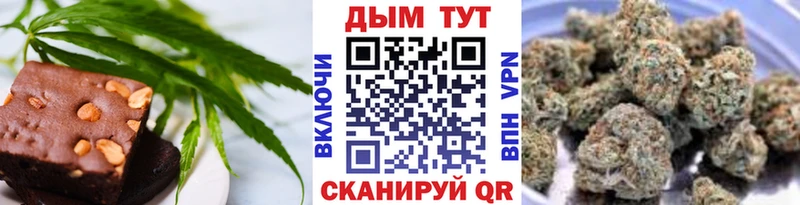 купить наркотик  Сковородино  Cannafood конопля 