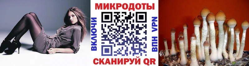 Псилоцибиновые грибы Psilocybine cubensis  Сковородино 